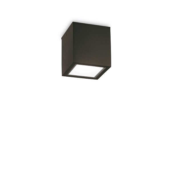 Потолочный светильник Ideal Lux TECHO PL1 SMALL NERO 251578