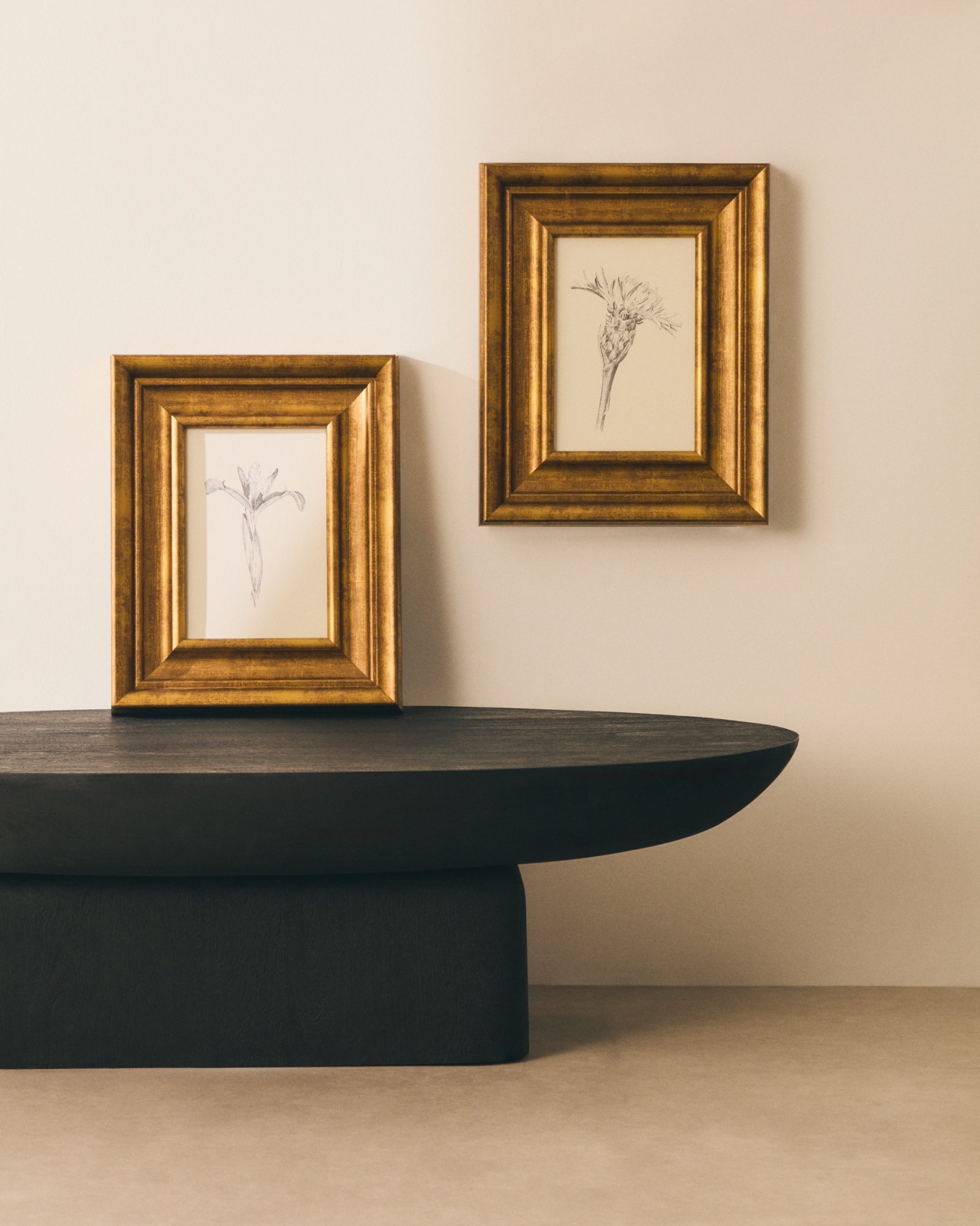 Картина Yalira с ботанической иллюстрацией 32,8 x 70 см La Forma (ex Julia Grup)