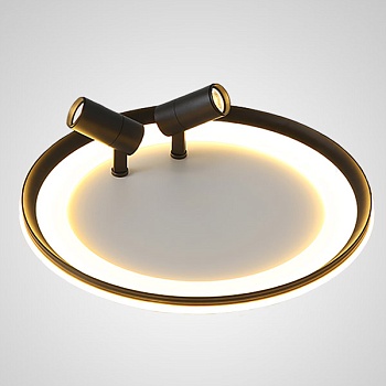 Потолочный светильник GARB B D60 Black by ImperiumLoft