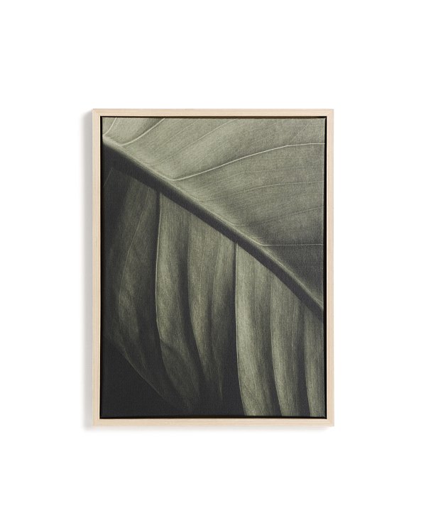 Фотография листа Foliae размер 32,5 x 42,5 см La Forma 481677