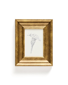 Картина Yalira с ботанической иллюстрацией 32,8 x 70 см La Forma (ex Julia Grup)