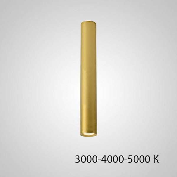 Точечный светильник PAN H50 Gold Трехцветный свет by ImperiumLoft