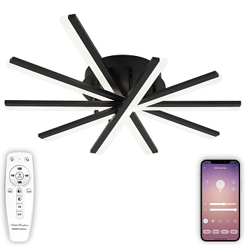 Накладная люстра Natali Kovaltseva LED LAMPS 81174