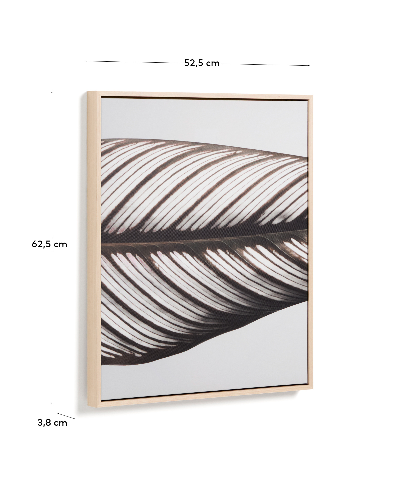 Фотография листа Foliae размер 52,5 x 62,5 см La Forma 481679