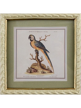 Панно настенное Попугай Glasar 28-142