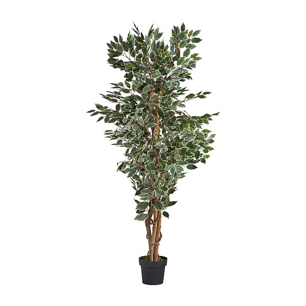 Искусственное растение FICUS Vical