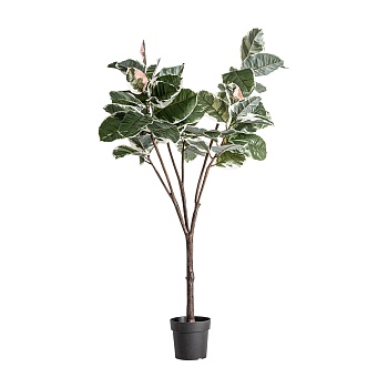 Искусственное растение ROBLE BLANCO Vical