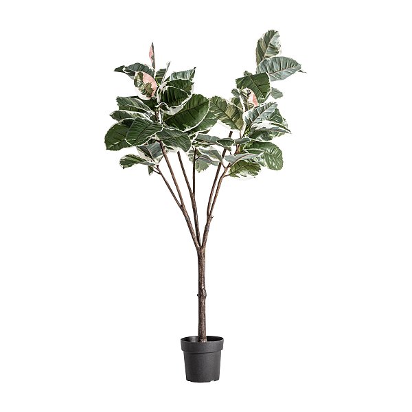 Искусственное растение ROBLE BLANCO Vical