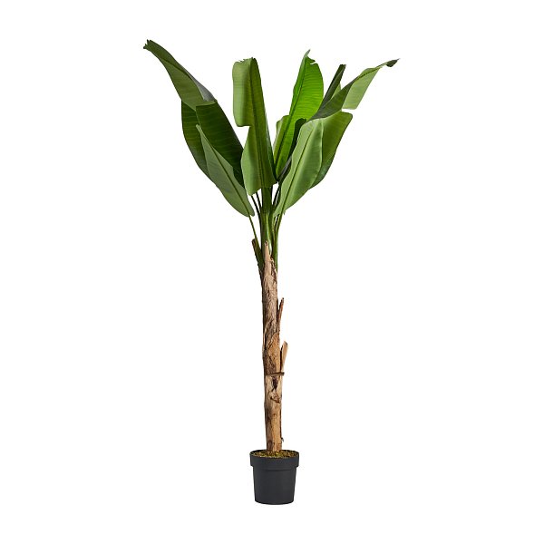 Искусственное растение BANANERA Vical