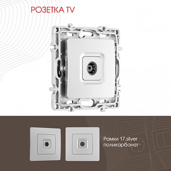 Розетка Arte Milano 217.43-1.silver