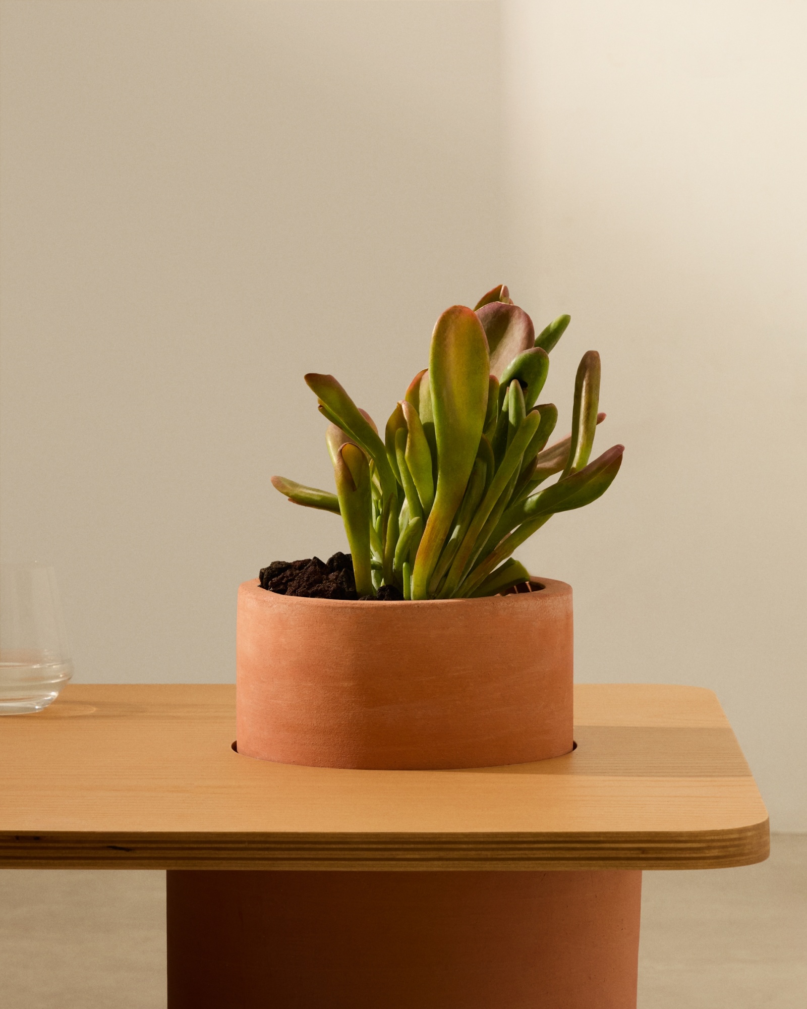 Журнальный столик Olaria терракотовый с дубовым шпоном натуральной отделки 110 x 60 La Forma (ex Julia Grup)