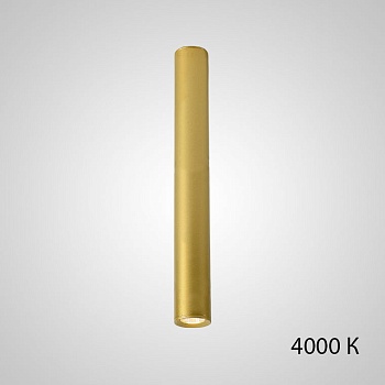 Точечный светильник PAN H80 Gold 4000 К by ImperiumLoft