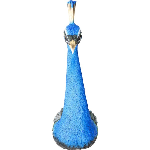 Украшение настенное Peacock 51793 KARE