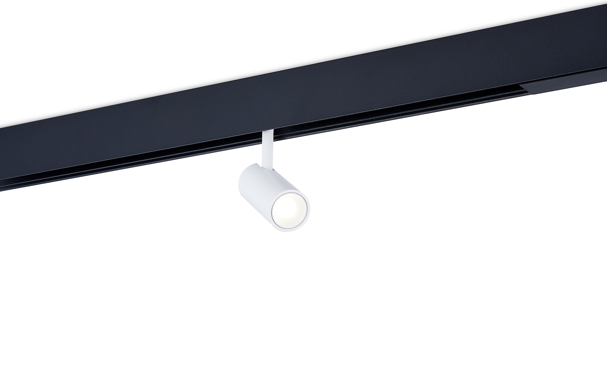 Светодиодный светильник Donolux DL20295WW5WB