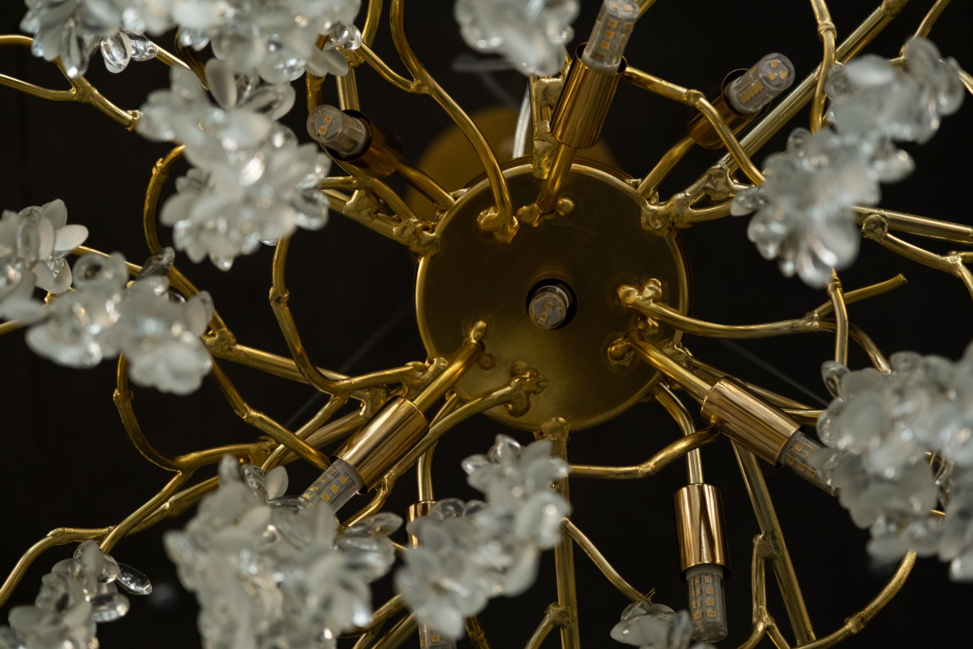 Люстра Milosh tendence 0921CL-13GD