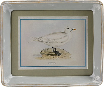 Картина в раме Glasar 28-636