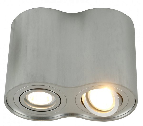 Накладной светильник Arte Lamp A5644PL-2SI