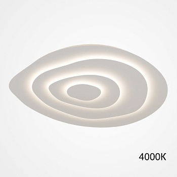 Потолочный светильник GWYN L62 4000К by ImperiumLoft