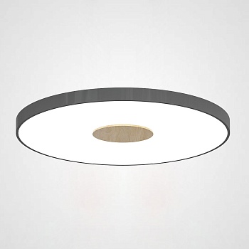 Потолочный светильник CENTRUM D50 Black by ImperiumLoft