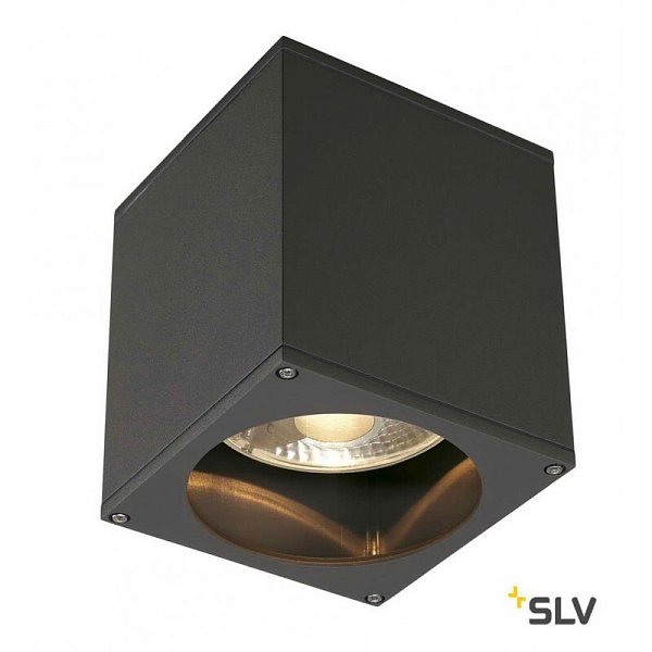Потолочный светильник SLV 229555