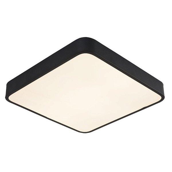 Накладной светильник Arte Lamp A2663PL-1BK