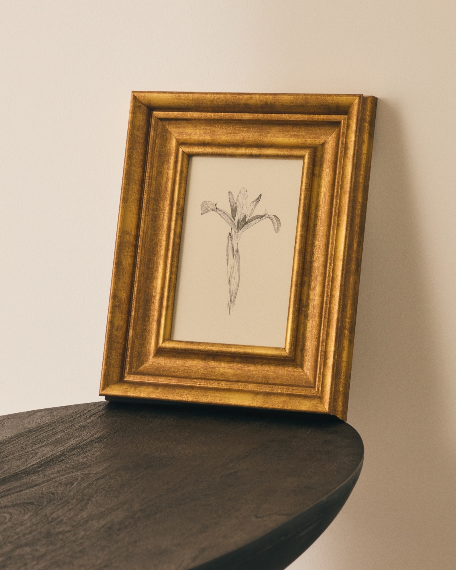 Картина Yalira с ботанической иллюстрацией 70 x 32,8 см La Forma (ex Julia Grup)