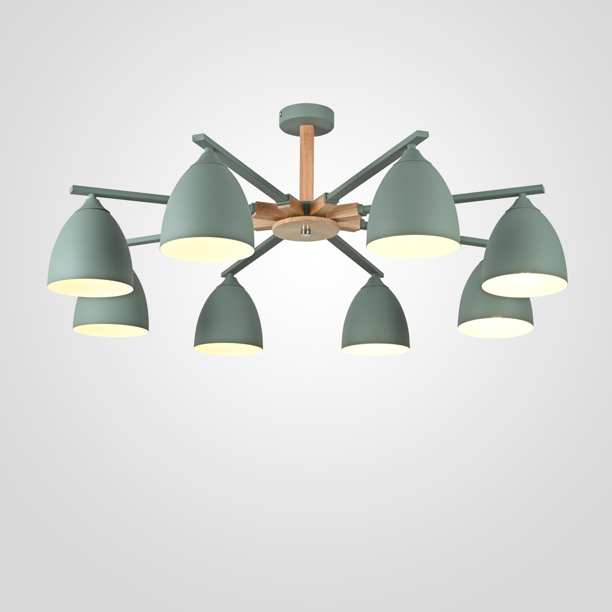 Потолочная люстра NOA 8 Mint by ImperiumLoft