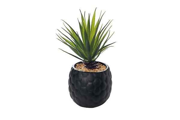 Суккулент в черном горшке Garda Decor 8J-5284 BL