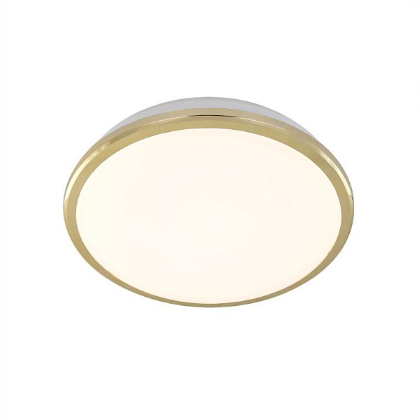 Уличный светильник Citilux CL702162W