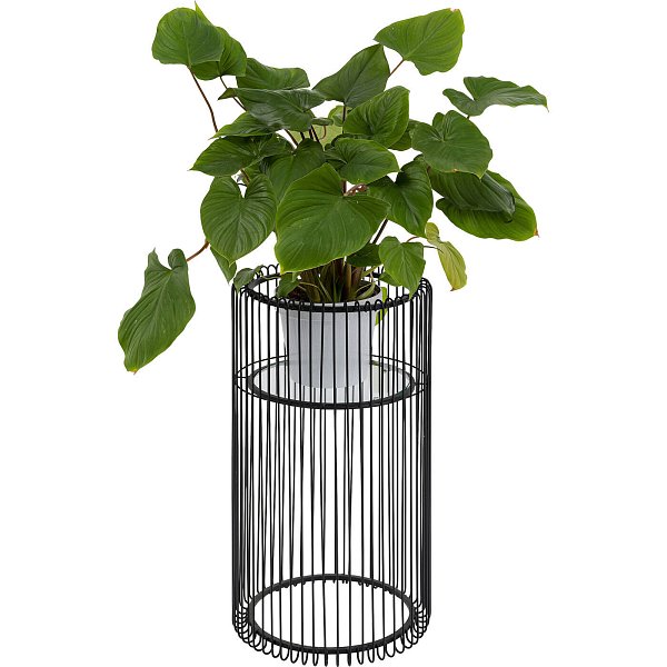 Подставка для цветов KARE Wire 54165