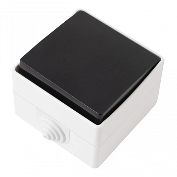 Выключатель Arte Milano 309.30-1.grey