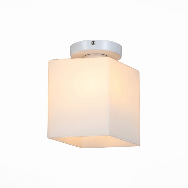Накладной светильник ST Luce SL548.501.01