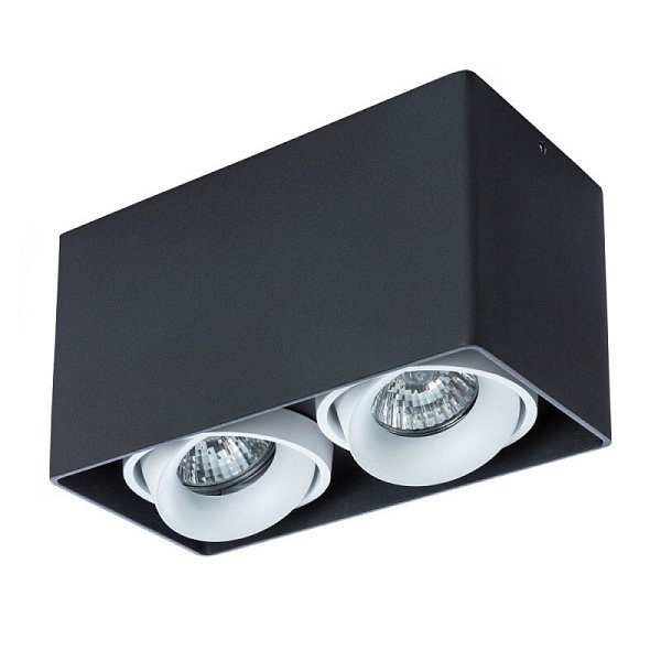 Накладной светильник Arte Lamp A5654PL-2BK