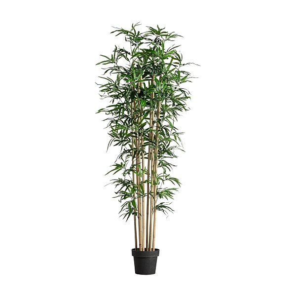 Искусственное растение BAMBU Vical