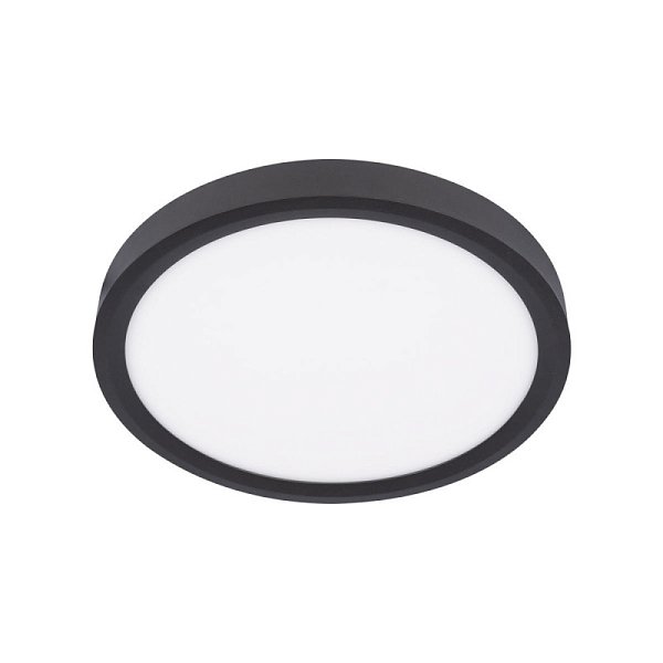Накладной светильник LOFT IT 10227/24 Black