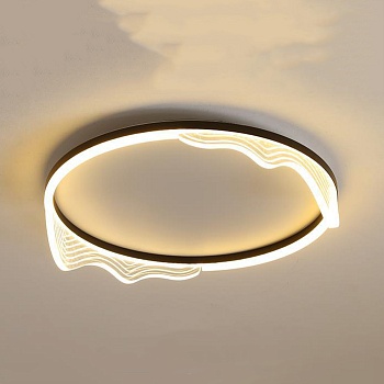 Потолочный светильник IZELIN D40 Black by ImperiumLoft