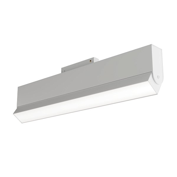 Трековый светильник Maytoni TR013-2-20W3K-W