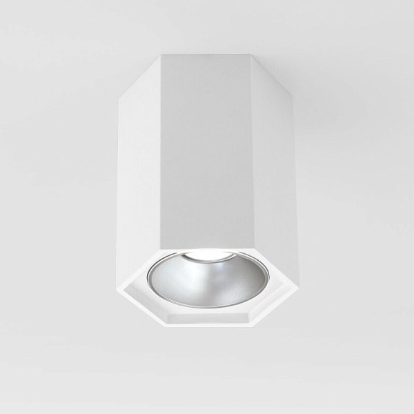 Накладной светильник Elektrostandard 25036/LED 7W 4200K белый матовый/серебро