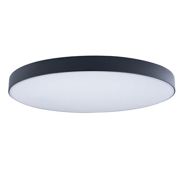 Накладной светильник LOFT IT 10002/48 Black