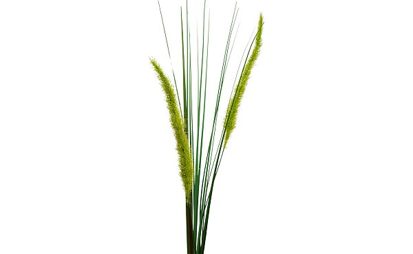 Веточка камыша Garda Decor 8J-15RS0006