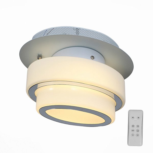Накладной светильник ST Luce SL546.501.01