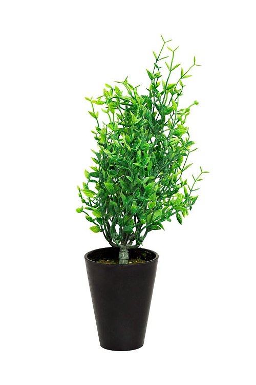 Иглица в горшке Garda Decor 8J-18CK0021