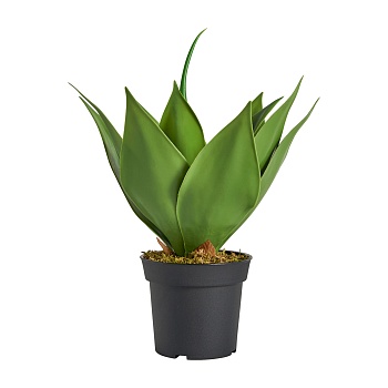 Искусственное растение LOTUS Vical