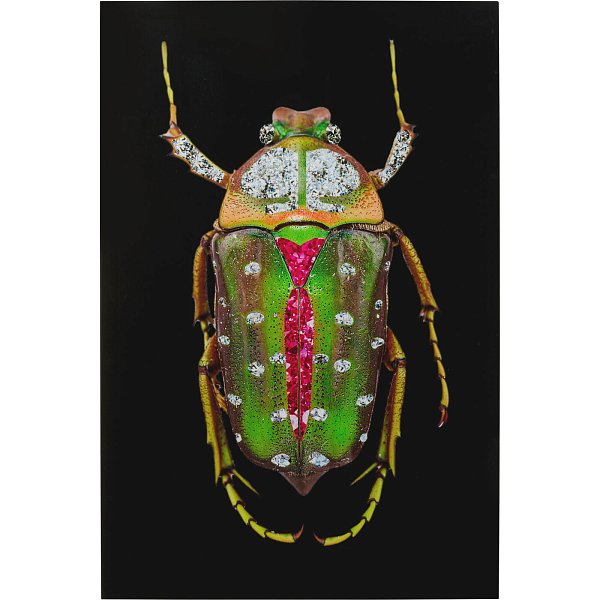 Картина Beetle 53592 Kare