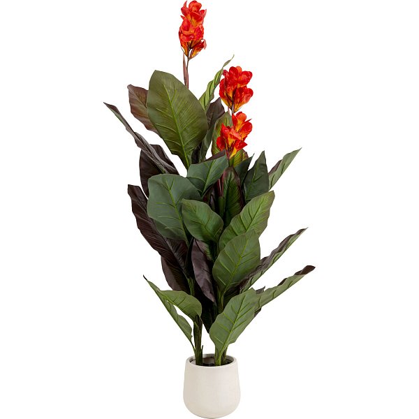 Растение декоративное Canna Lily 165cm KARE 58433