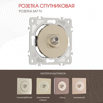 Розетка Arte Milano 202.42-1.shampan