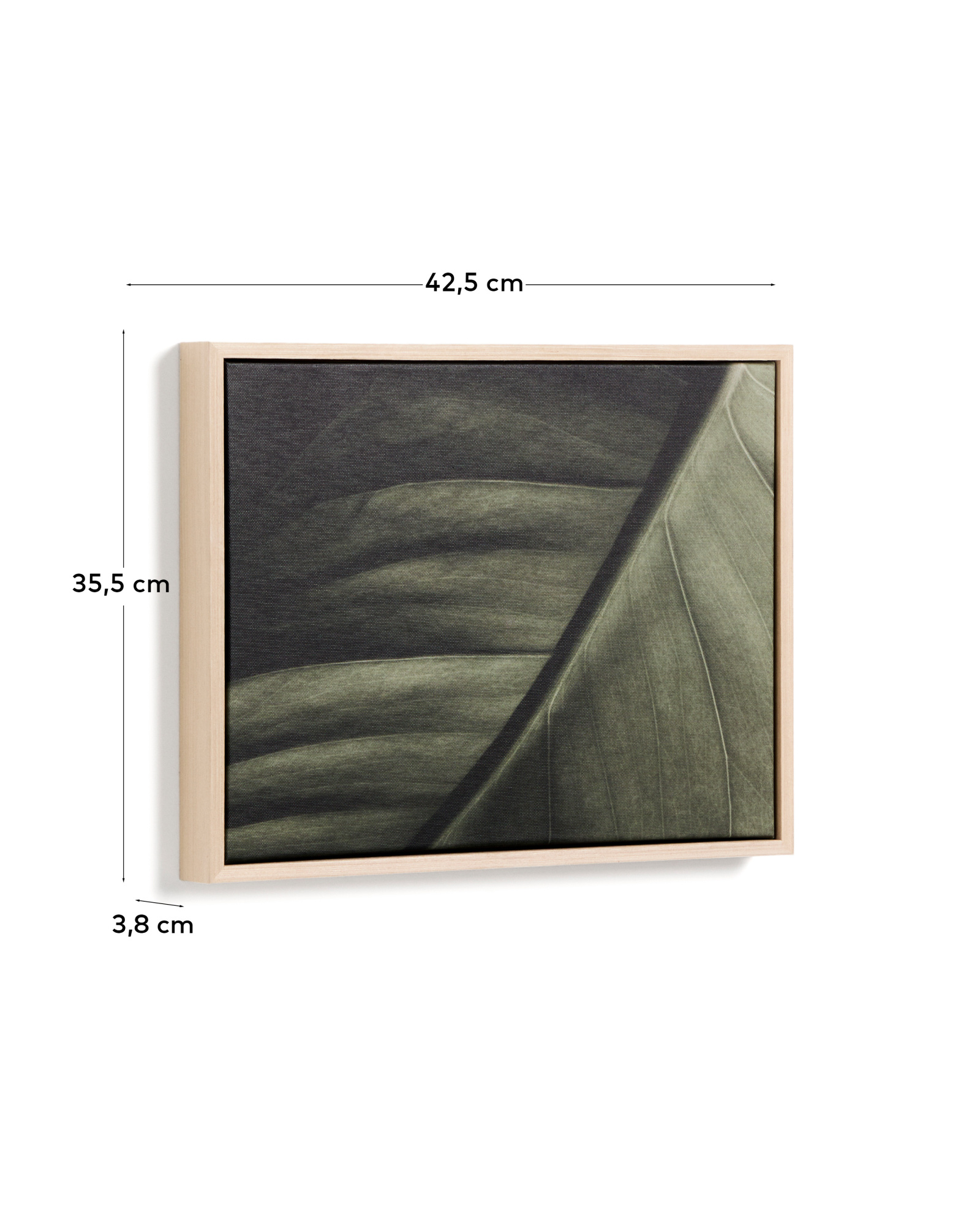 Фотография листа Foliae размер 32,5 x 42,5 см La Forma 481677