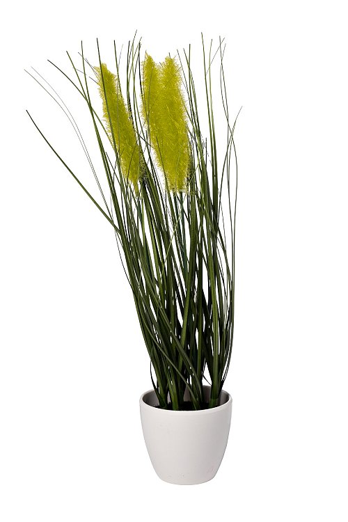 Тростник декоративный зеленый в горшке Garda Decor 8J-20RK0006-GR