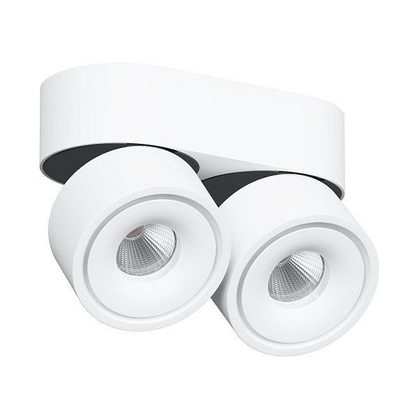 Накладной  светодиодный светильник Ledron LH13W 2 White