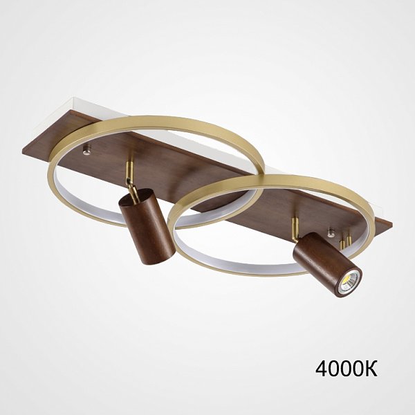 Потолочный светильник DIDRIKA L55 Dark Brown 4000К by ImperiumLoft